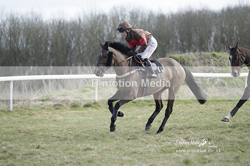 PtP 260223 536 - South & West Wilts Point-to-Point Larkhill 26/02/23