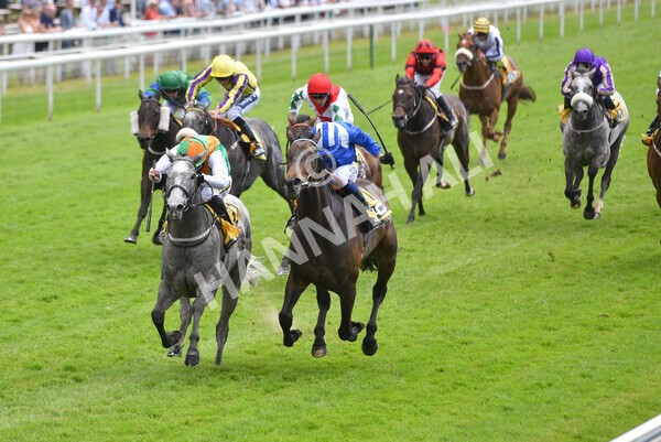 yr12062021r2-29 - Race 2 2.35pm The JCB Stakes