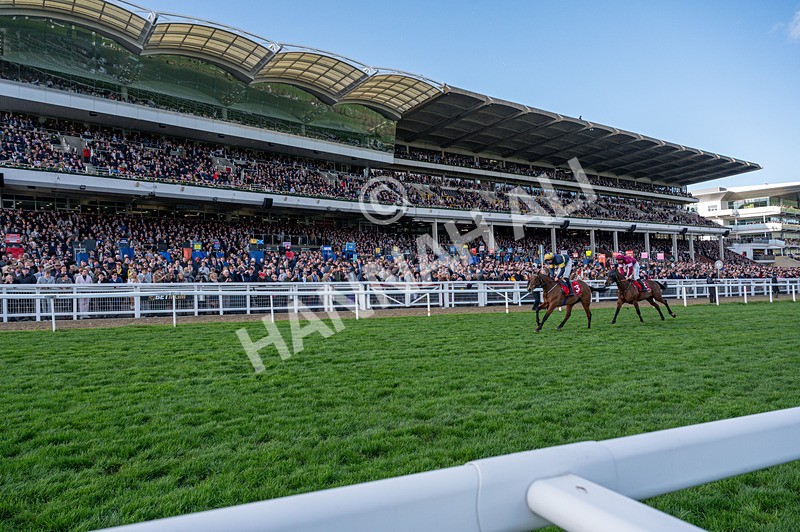 110326-Race 4-Final Orders-9128 - 11th March