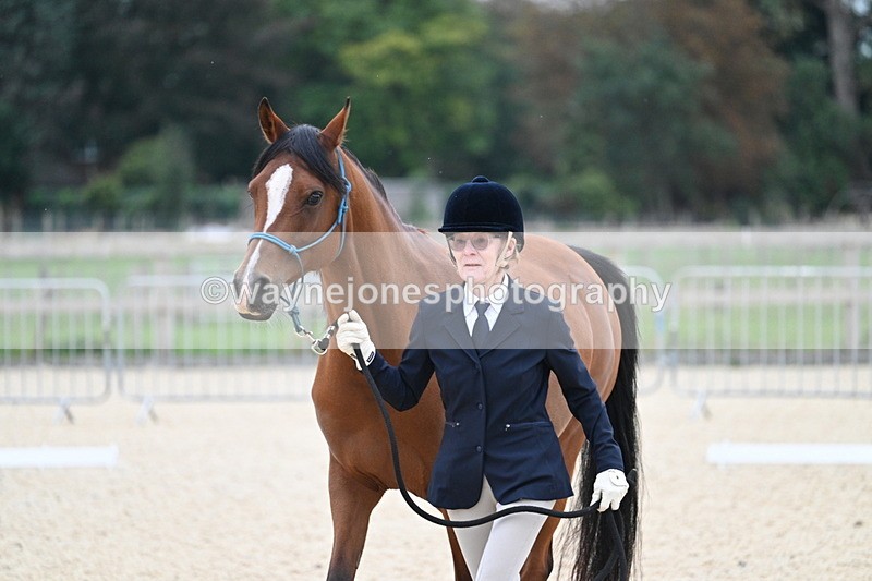 WJ7_1871 - Class 1 & Champs