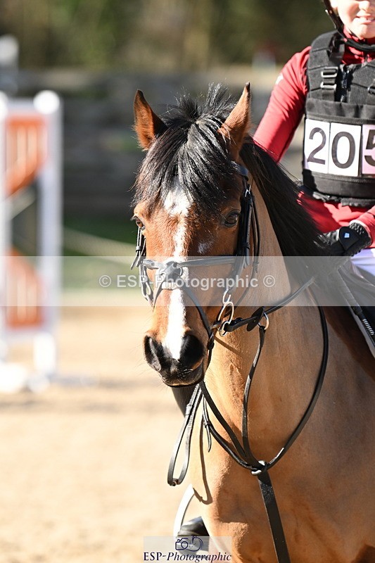 250302A-104925-01583 - Cls 01 70-75cm