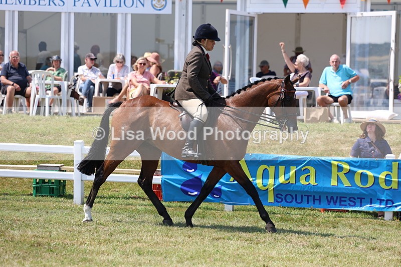 3E7A9293 - Class 12: Open Racehorse to Show Horse
