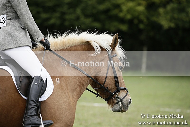 BVR080918 87 - BVRC Novice Dressage & CR 08/09/18