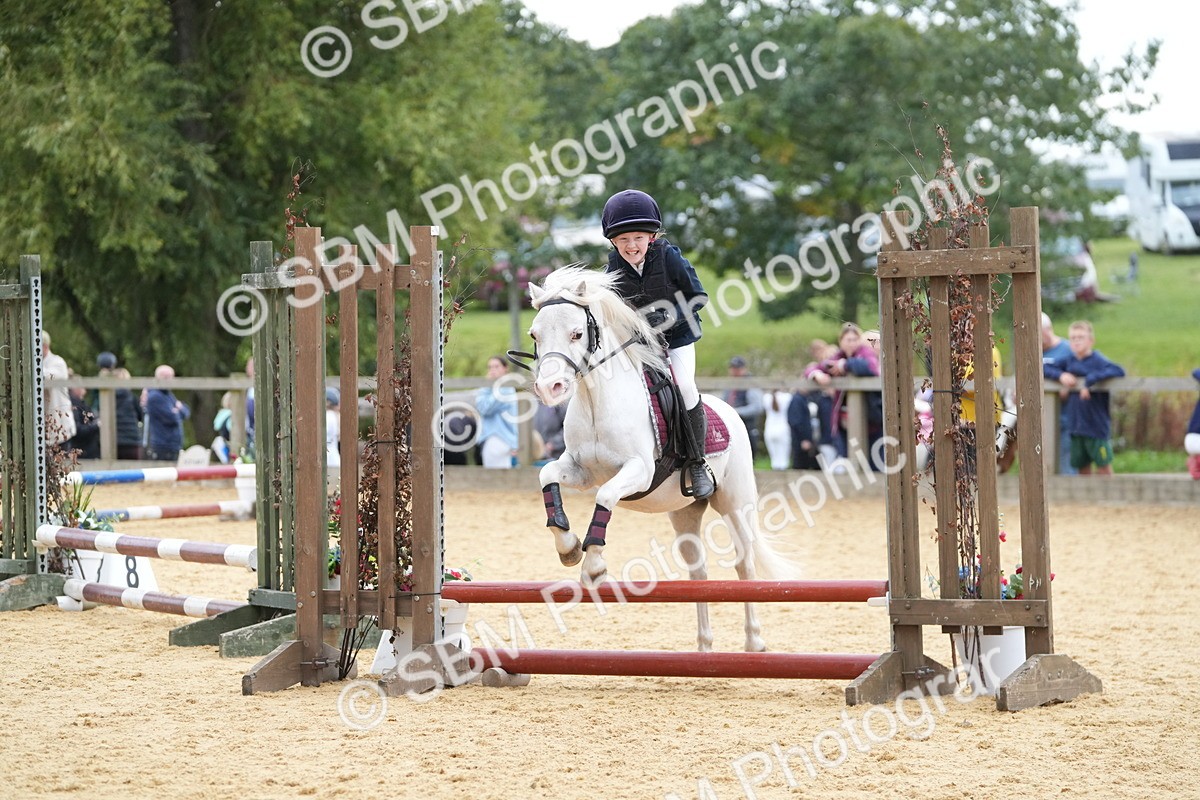 SBM_74633 - J4 - Mini Tour Junior Pony 45cm Championship