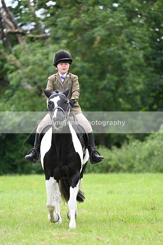 WJ7_2428 - Class 12A Coloured Class