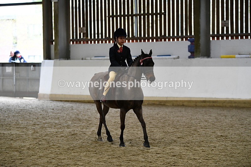 WJ5_6950 - Class 10 Childs Pony