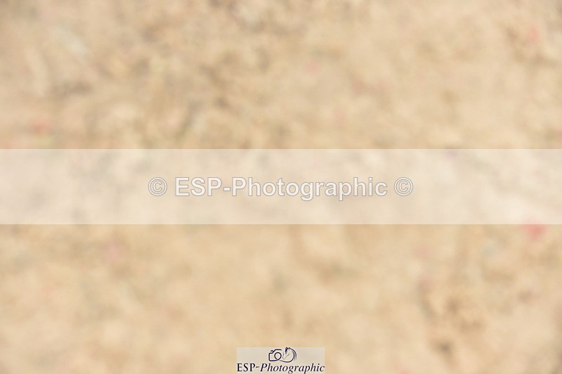 240210A-142448-01534 - Cls 25 Stepping Stones