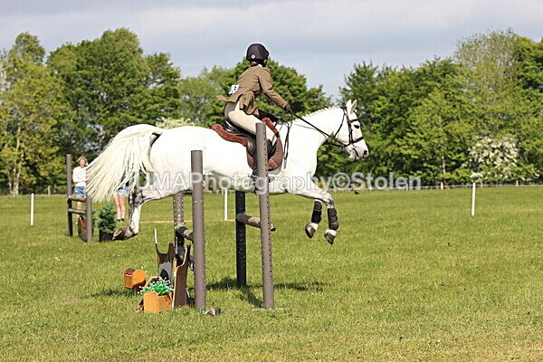 IMG_4820 - Working Hunter