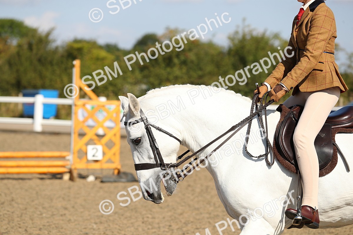 SBM_02309 - Class 43 Ridden Competition Horse/Pony