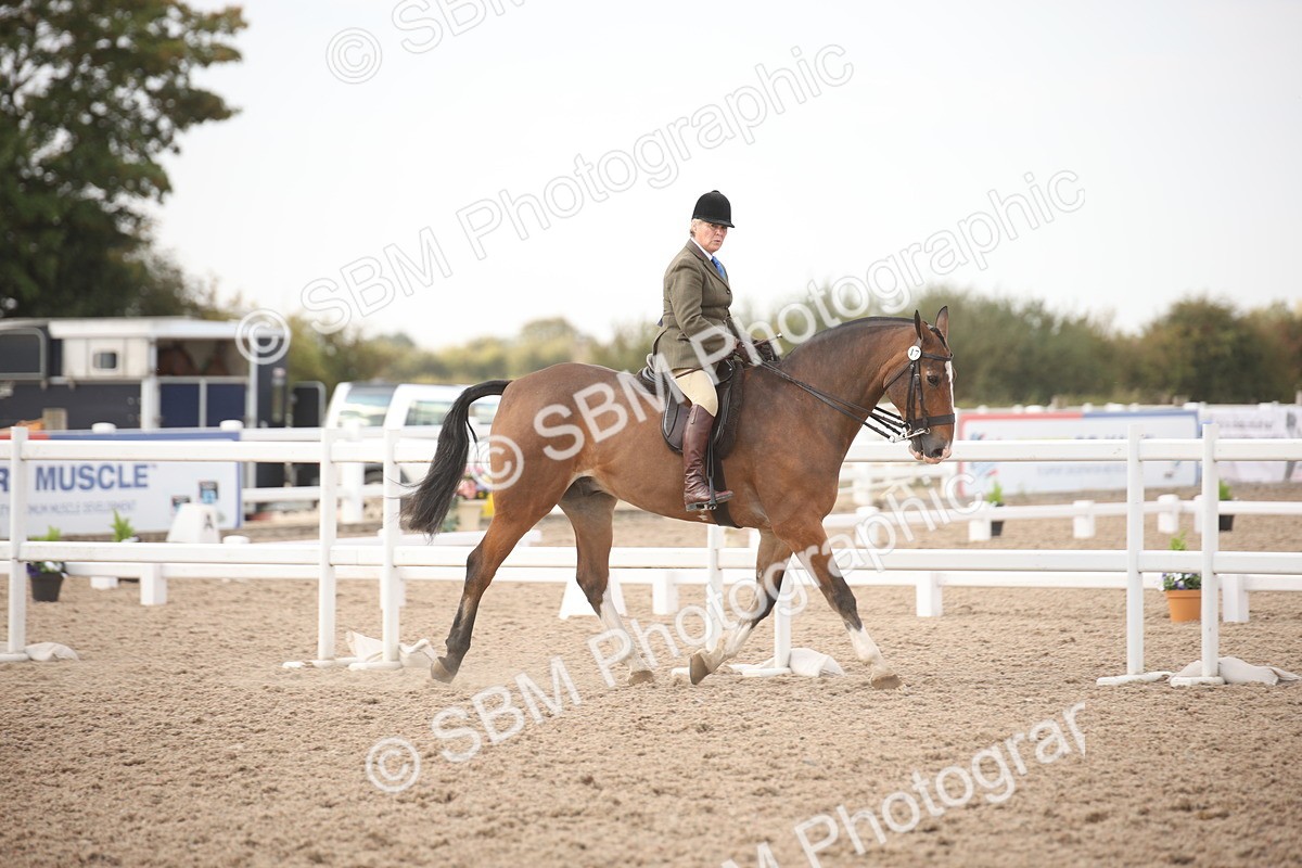 SBM_08763 - Class 12R Regional Ridden Pre-Vet