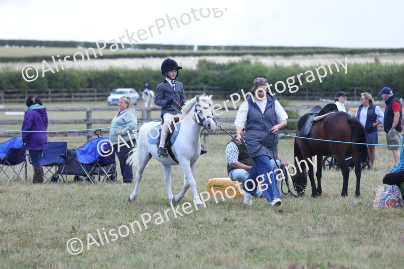 20250831-2371 - Class 16 - Family Pony