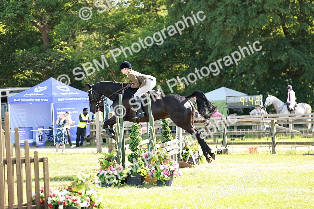 SBM_19166 - Class 115-116 - LIHS BSHA Rising Star Working Hunter & Show Horse