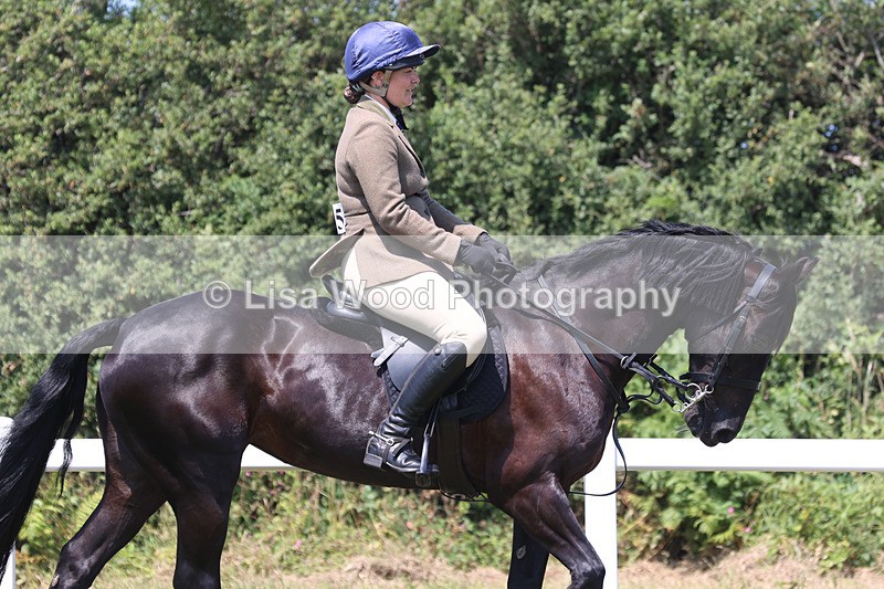 JPP_2704 - Class 21: Working Hunter 60cm