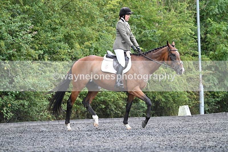 WJ7_6448 - Time 11:38 to 12:03