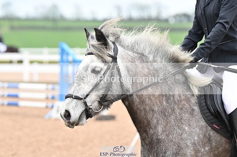 240309A-100403-00006 - Cls 1 Pony Intro 70cm