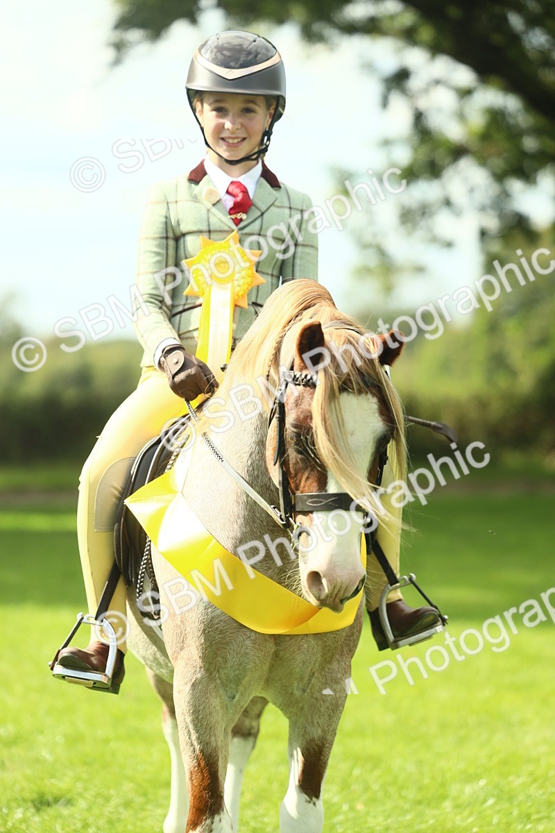 SBM_44966 - Working Hunter Pony Supreme Championship