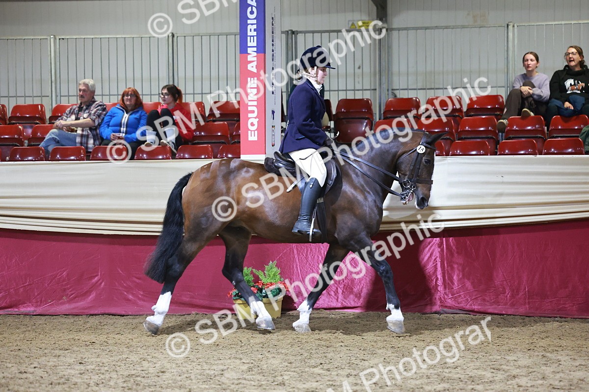 SBM_21148 - class Q - Ridden Horse Champ