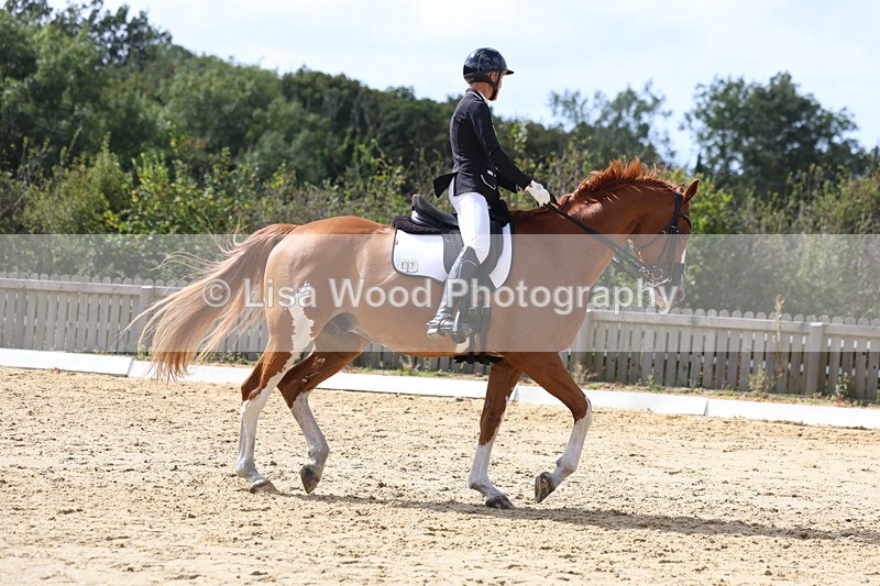 3E7A4745 - Class 11: Elementary Music