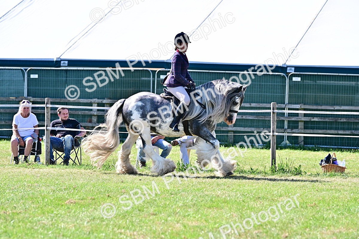 SBM_19421 - Class 101-102 - BSPS LIHS Performance Coloured Horse/Pony