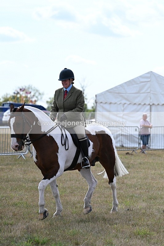 WJ7_7337 - Class 14 Ridden Coloured