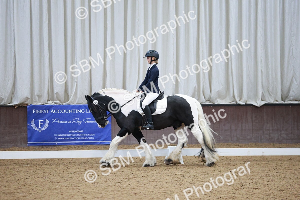 SBM_004553 - Ring 3 - International -  Working Hunter Classes 23-2-25