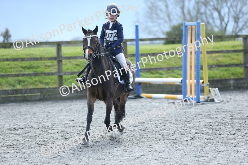 20260412-1813 - Show Jumping
