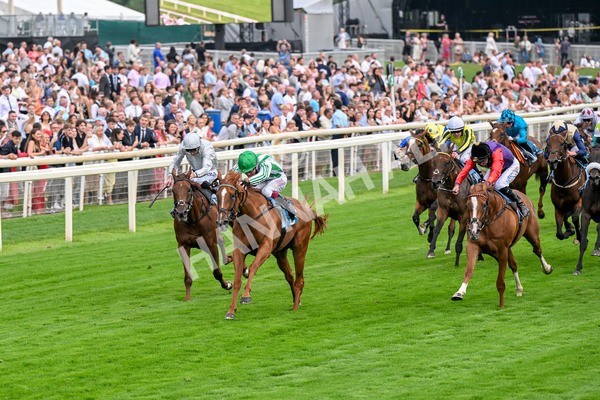 250725-Race 5-Sand Gazelle-0707 - Race 5 7.48pm British EBF Lyric Fillies' Stakes