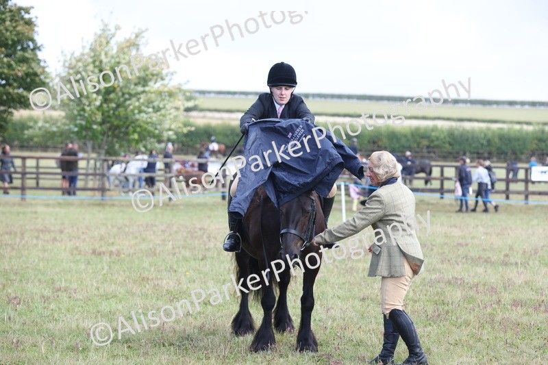 20250831-2433 - Class 16 - Family Pony