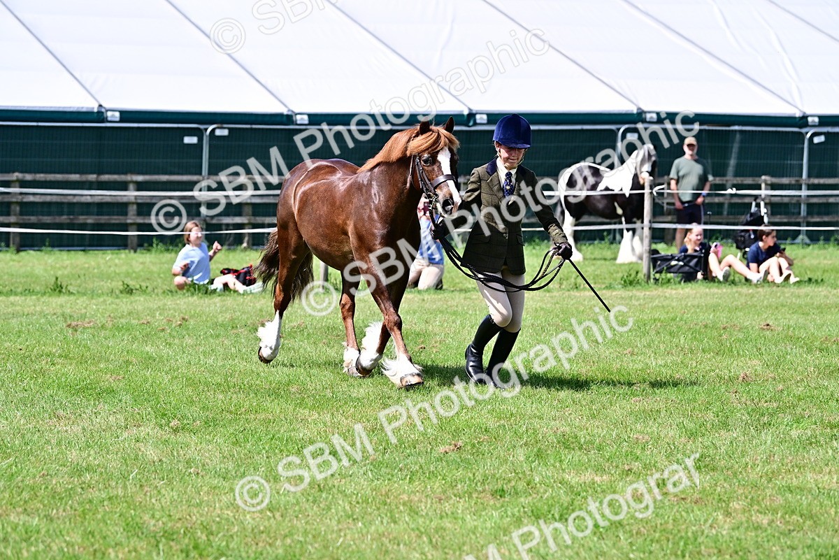 SBM_08054 - Class 61-62 - TSR  M&M Ridden Amateur of the Year