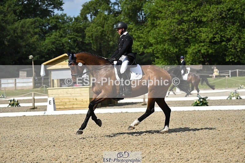 230525-102708-01714 - 312-J'ADORE_SALSA-Michael_Owen-WEDTrotUp+DR