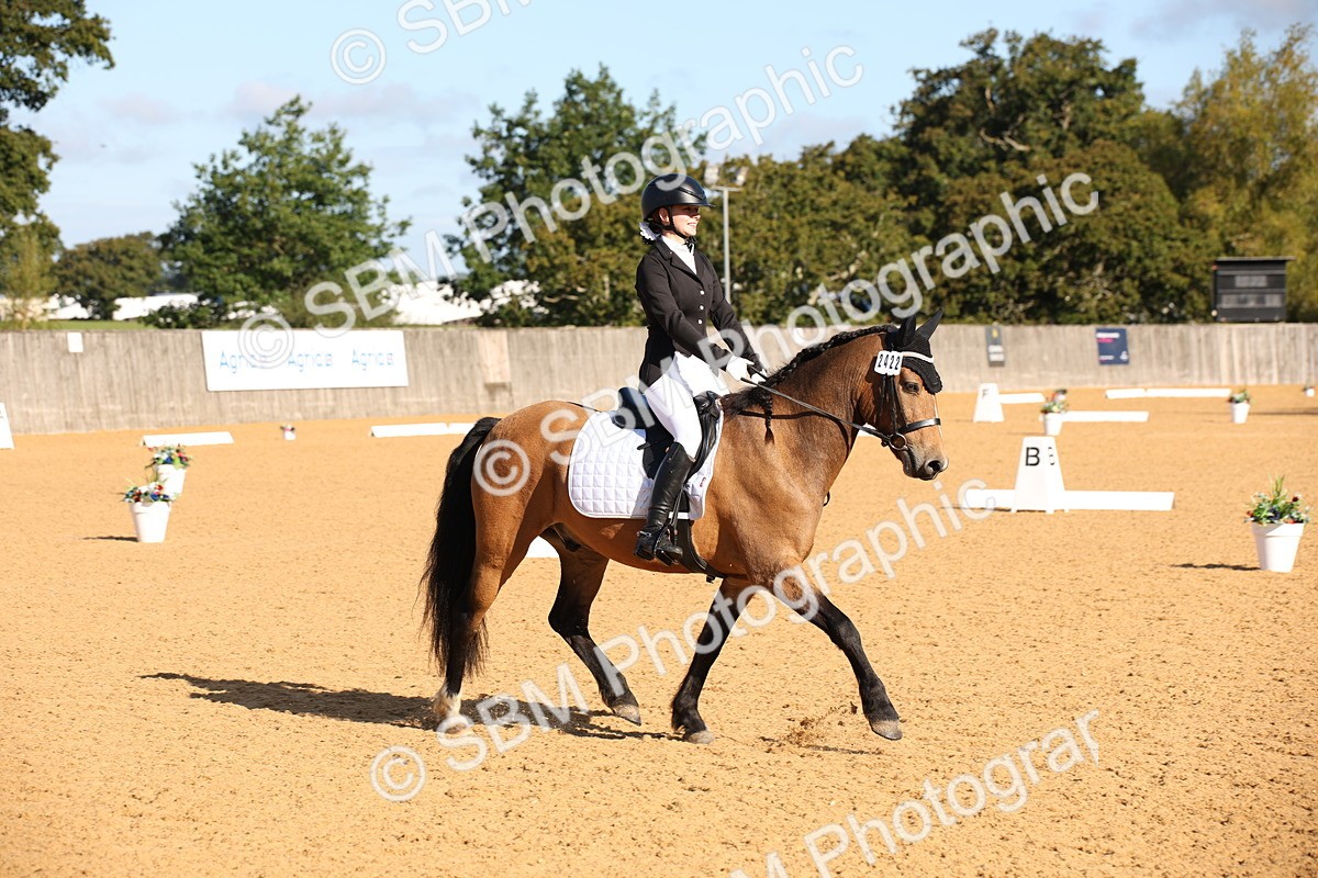 SBM_01888 - D2 Small Tour Championship Intro C