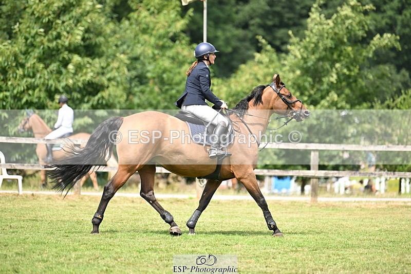 250704A-111321-07195 - Cls 25 Snr British Novice and 90cm