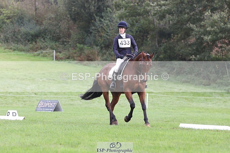 231019-122353-03619 - 433-WILLIAM-Laura.Sharpe-DR