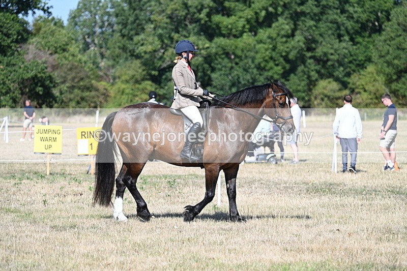 WJ7_3412 - Class 9 Mountain & Moorland Ridden