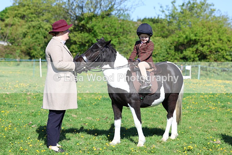 3E7A8847 - Class 2: Lead rein