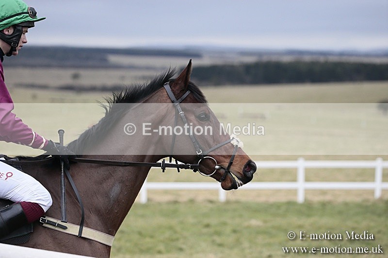 PtP 180218 363 - Combined Services Point-to-Point Larkhill 18/02/18