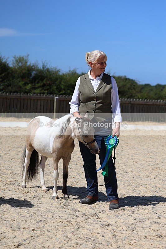 3E7A9523 - Class 30: Mnititature Horse