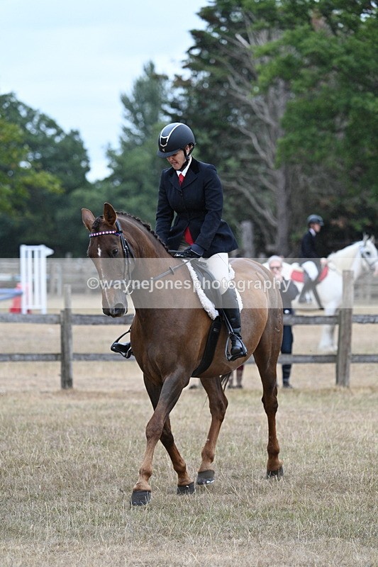 WJ7_0866 - Class 7 Riding Club Show Horse