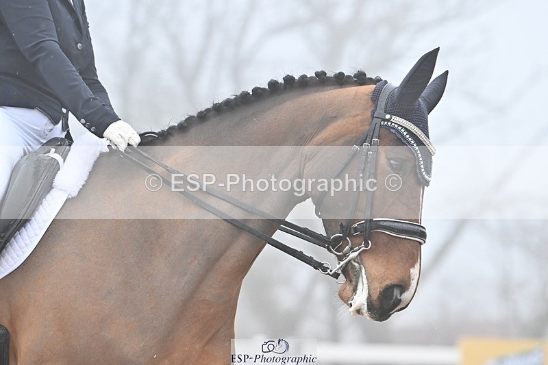 250215-101605-02980 - 241-georgina.van.puyenbroek-Mission.Accomplished.11