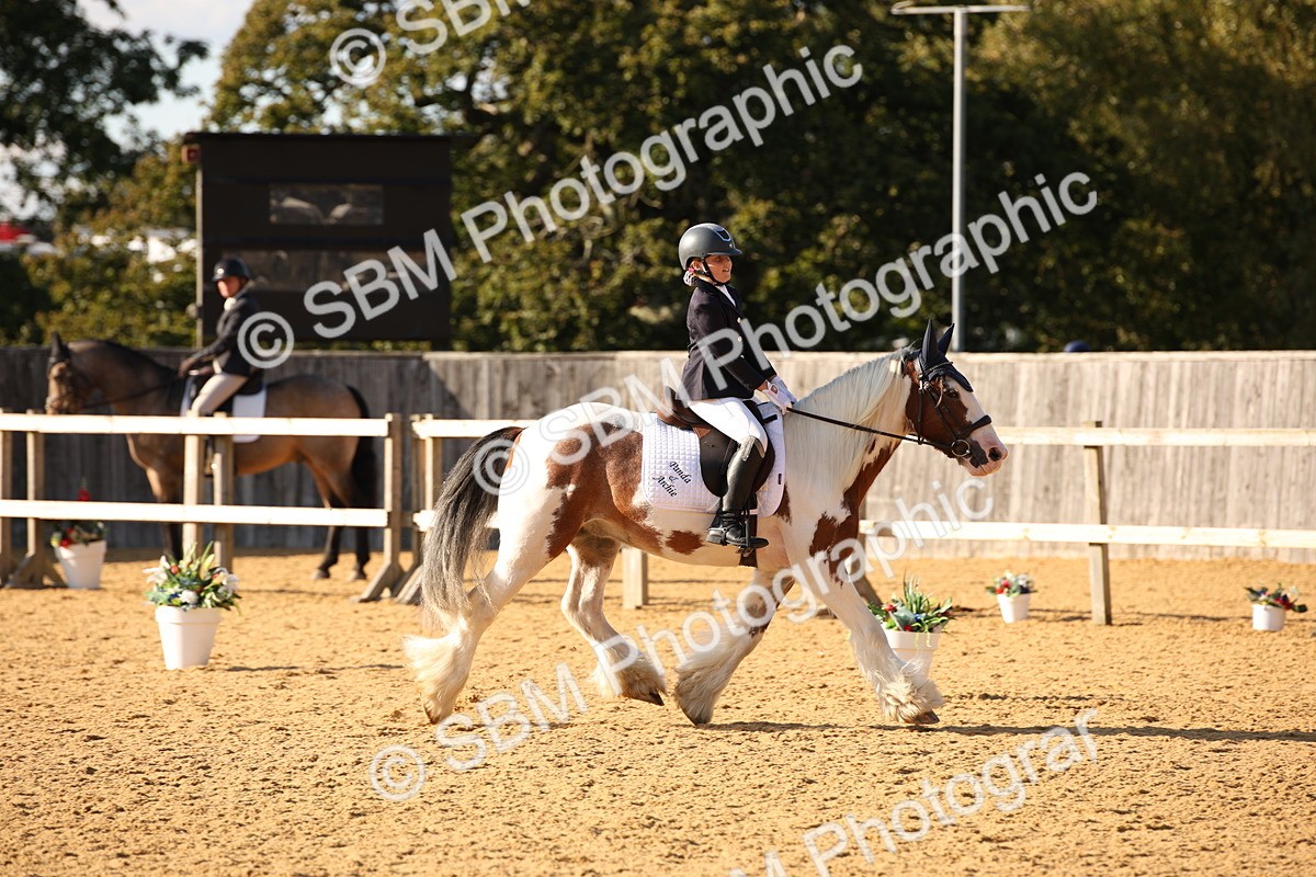 SBM_28324 - D11 - Small Tour Championship - Prelim 13