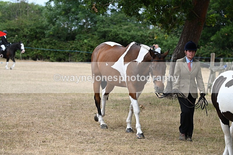 WJ6_7941 - Class 10 Coloured in Hand