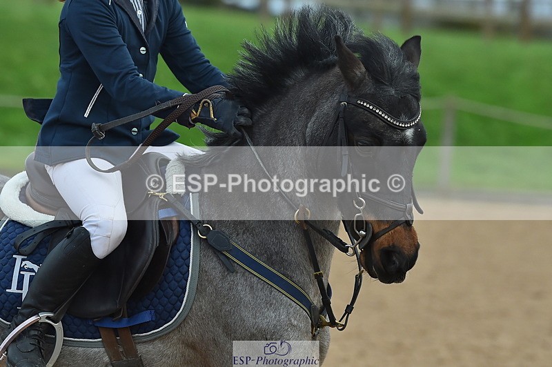 231119A-133404-06023 - Sun Cls 26 Springboard 128cm & 138cm