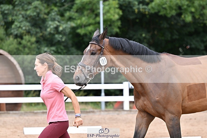 250716-134718-00668 - Trot Up 1.30 to 2.30