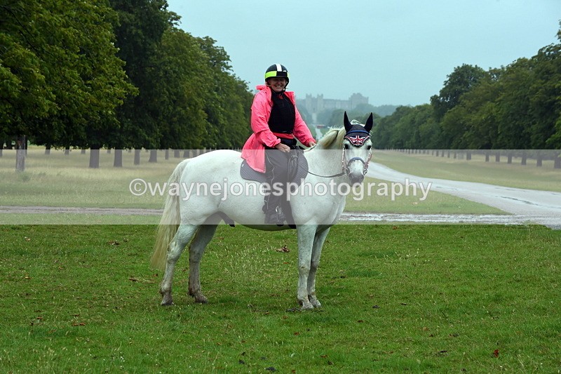 TT3_8049 - Time at Crossing 09:15 to 10:15