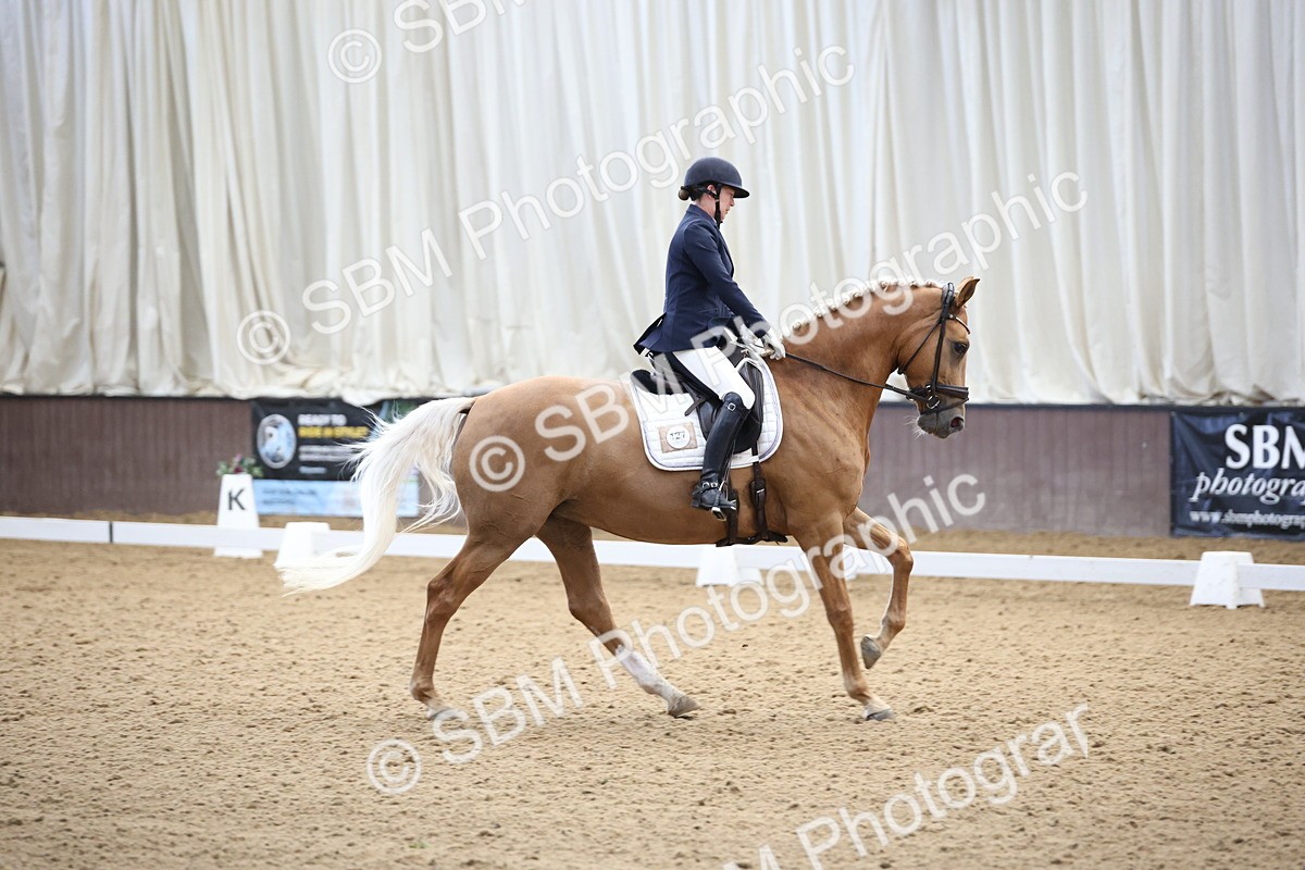 SBM_002077 - Class 5 - Novice 6 Gold - 9.00-10.10