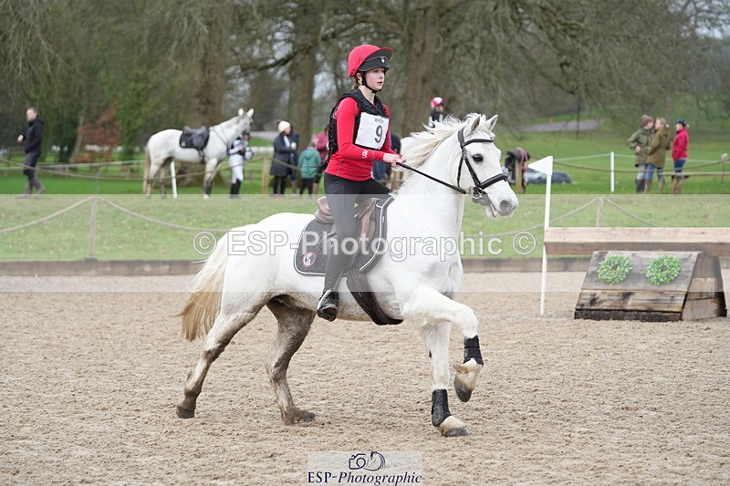 260301A-105209-01831 - NSEA 80-85cm