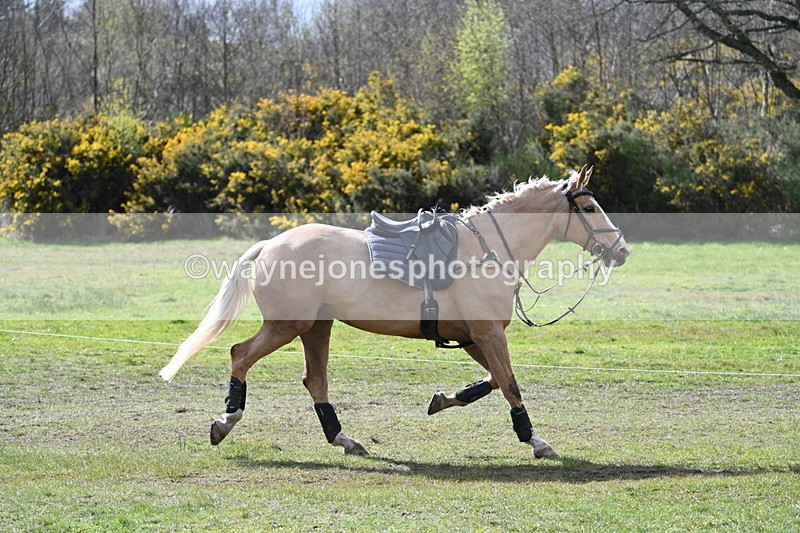 WJ7_2792 - Time 14:58 to 15:19