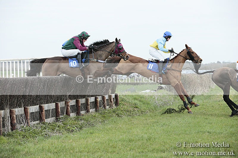 PtP 230319 120 - VWH Hunt Siddington Point-to-Point Racing 23/03/19
