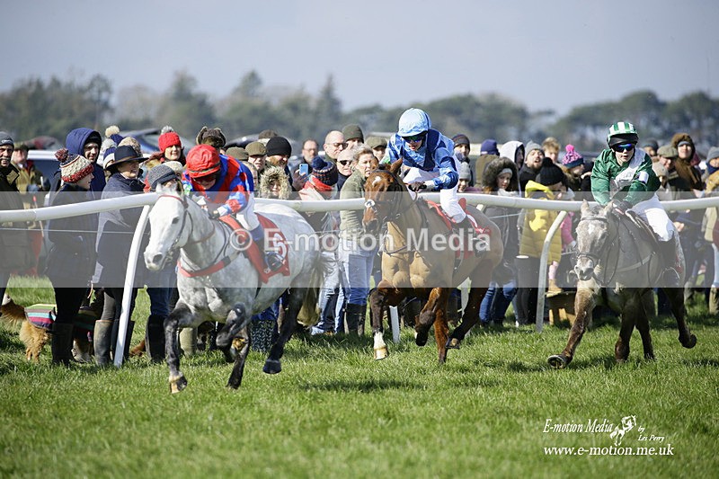 PtP 060322 80 - Blackmore & Sparkford Vale Hunt PtP 06/03/22