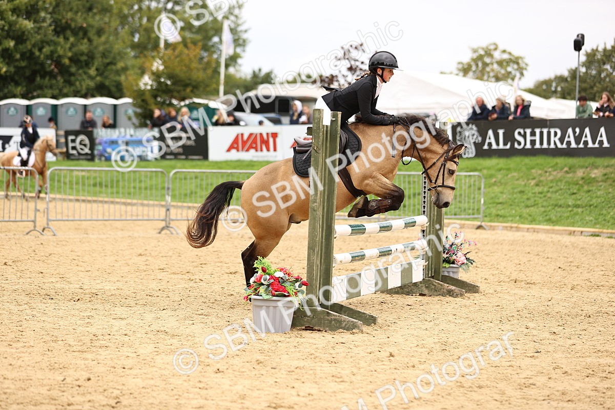 SBM_65830 - J17 - Junior Pony 80cm Championship